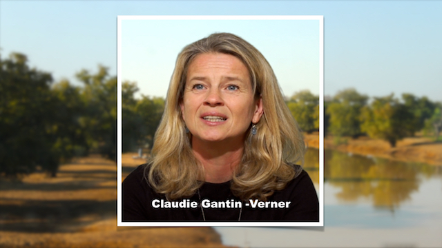 claudie_verner.jpg